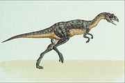 Eustreptospondylus Magnet