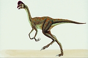 Oviraptor Mongoliensis Magnet