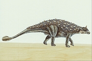 Pinacosaurus Magnet