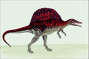 Spinosaurus Magnet