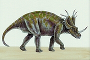 Styracosaurus Magnet