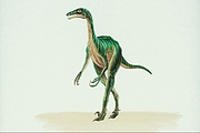 Troodon Magnet