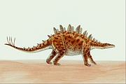 Tuojiangosaurus Magnet