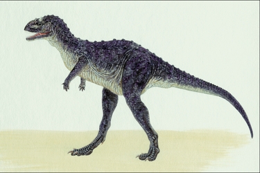 Carnotaurus