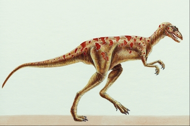 Herrerasaurus