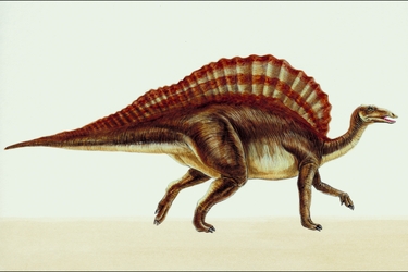 Ouranosaurus