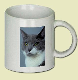 Cat Coffee Mug