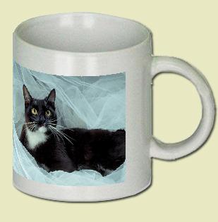 Cat Coffee Mug