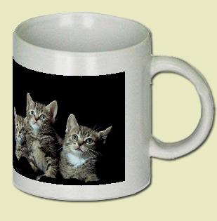 Cat Coffee Mug