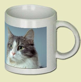 Cat Coffee Mug