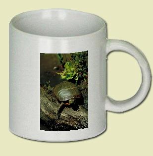 Eastern painted turtle Coffee Mug