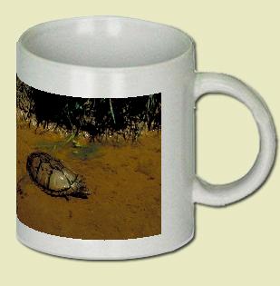 Musk Turtle Coffee Mug