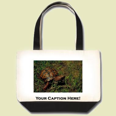 Eastern box turtle Tote Bag