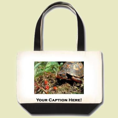 Eastern box turtle Tote Bag