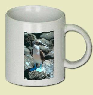 Blue-footed booby Coffee Mug