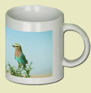 Indian roller Coffee Mug