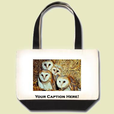 Barn Owl Tote Bag