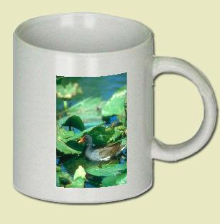 Common Gallinule Coffee Mug