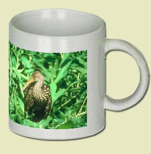 Limpkin Coffee Mug