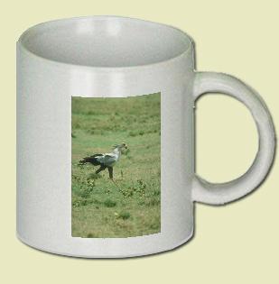 Secretarybird Coffee Mug