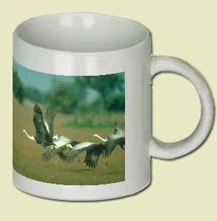 Wattled Crane Coffee Mug