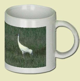 Whooping Crane Coffee Mug