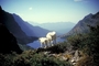 Rocky mountain goat picture