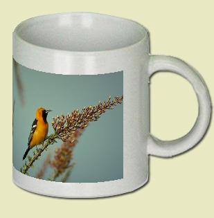 Hooded Oriole Coffee Mug