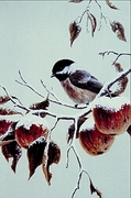 Black-capped chickadee Poster