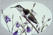 Black-chinned hummingbird Mousepad