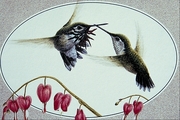 Calliope hummingbird Mousepad