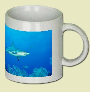 Caribbean reef shark Coffee Mug