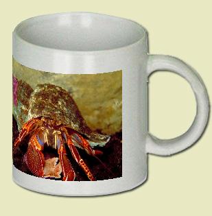 Hermit crab Coffee Mug