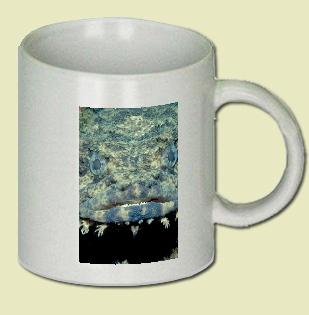 Oyster toadfish Coffee Mug