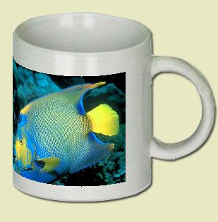 Queen angelfish Coffee Mug