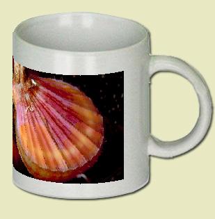 Scallop Coffee Mug