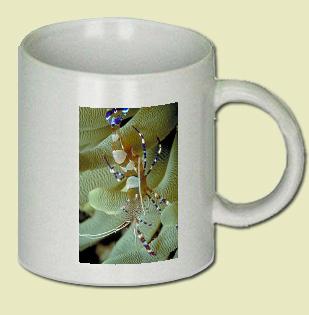 Shrimp Coffee Mug