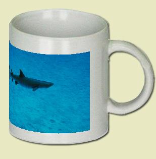 White Tip reef shark Coffee Mug