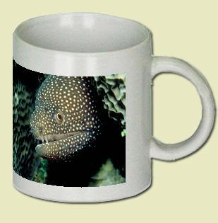 White-spotted moray eel Coffee Mug