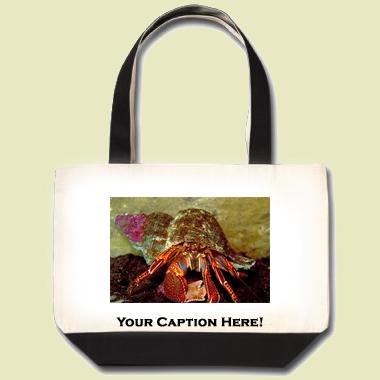 Hermit crab Tote Bag