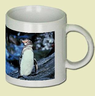 Galapagos penguin Coffee Mug