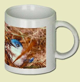 Little blue penguin Coffee Mug