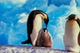 Emperor penguin picture