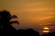 Palm Tree Sunset Poster