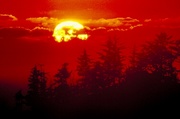 Red Sunset Poster