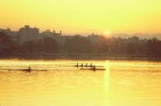 Rowing Poster