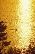 Sunset and Rower Poster