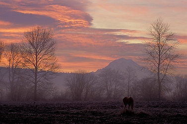 Mountain Dawn