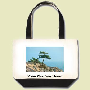 Lake Huron Tote Bag