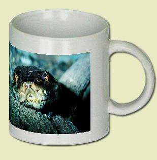 Reticulated python Coffee Mug